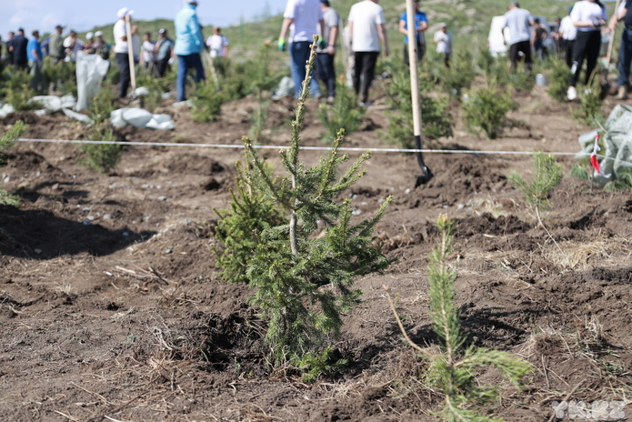 В Усть-Каменогорске открыли экологический парк 